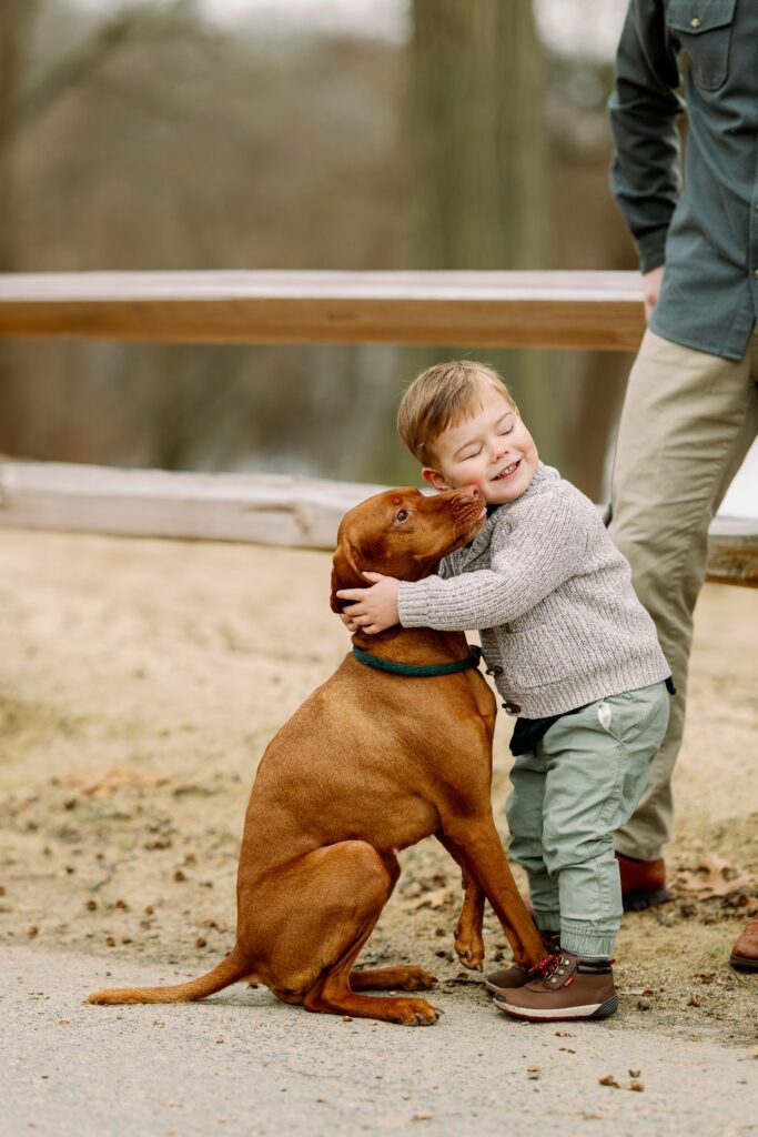 Toddler boy hugging brown Vizsla  and closing eyes with a big smile on his face. 