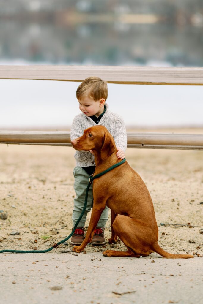 Toddler boy petting brown Vizsla dog. 