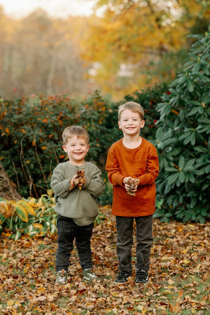 Toddler boy in olive shirt and big brother in rust colored shirt stand side by side smiling at the camera while holding small piles of leaves in their hands. 