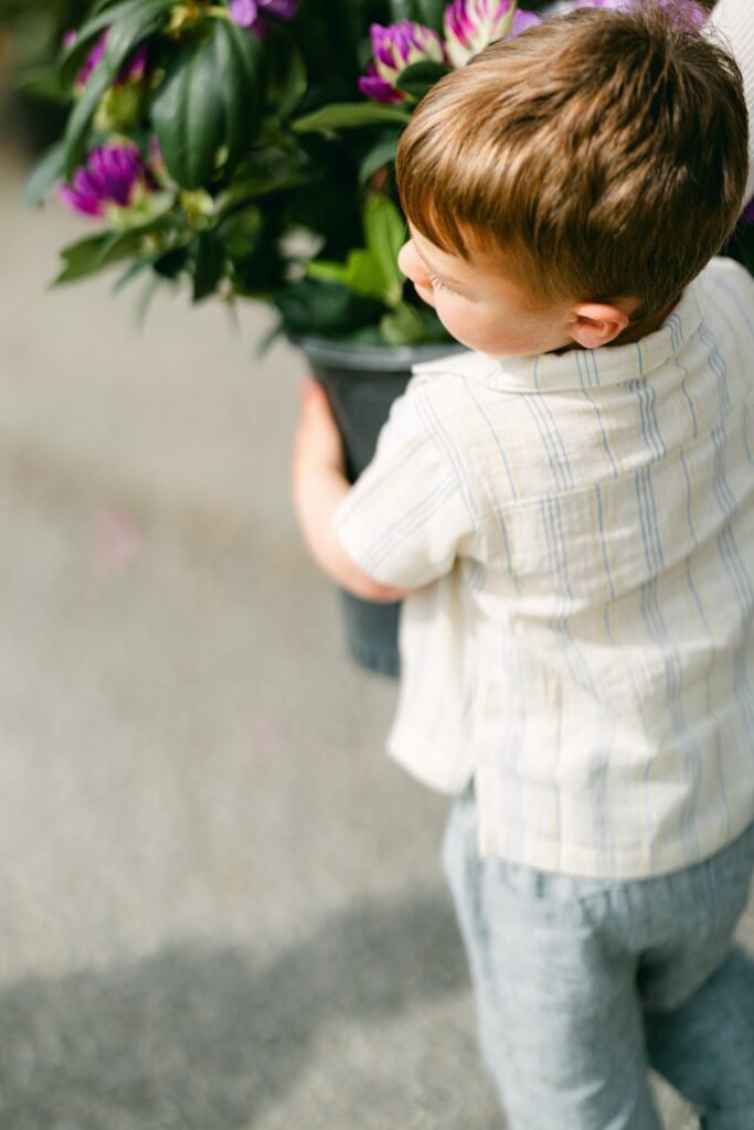 Brunette boy in a striped short-sleeve button-down shirt is carrying a flower plant wit purple blooms. 