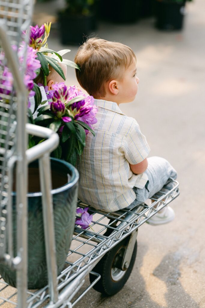 Brunette boy in a striped short-sleeve button-down shirt is sitting on the edge of a flat shopping cart used at garden centers. 