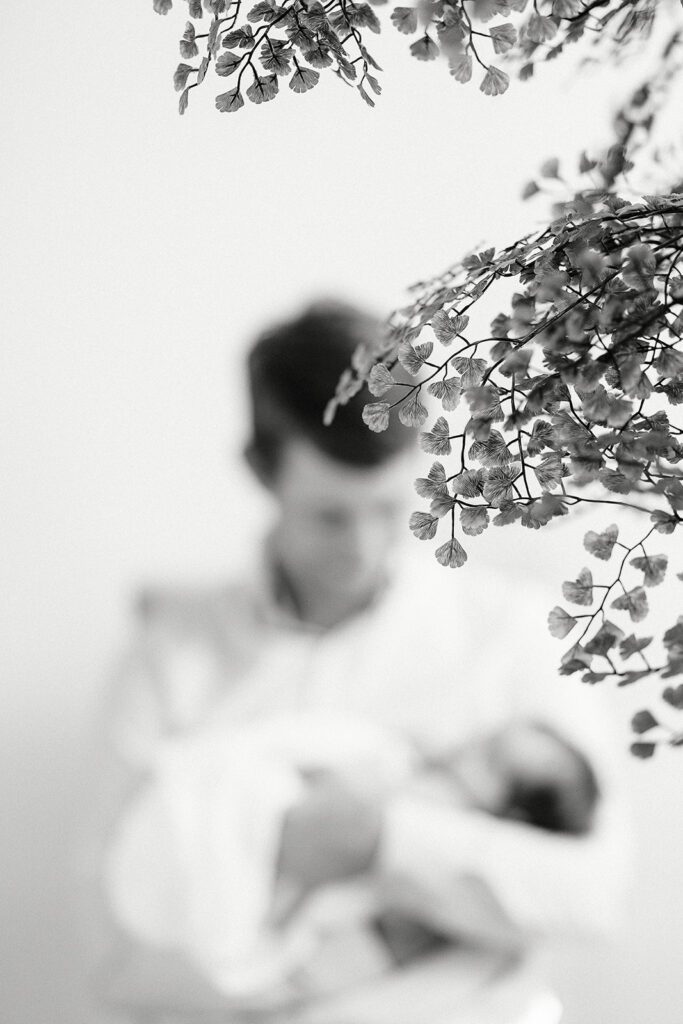 Dad is faded in the distance holding dark-haired newborn, swaddled baby in his arms and looking down at baby. And indoor tree with small, fan-shaped leaves is in the forefront right side of the image. 