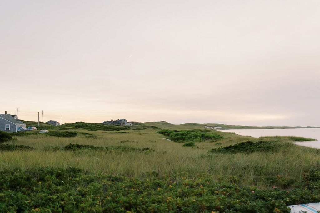 A lush green marsh with tall green grass is bordering the water of an inlet from the ocean with a few distant cottages visible. 